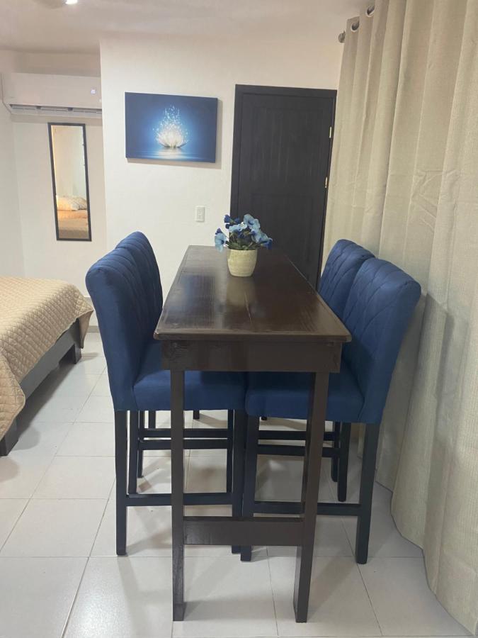 Departamento Gaviota Apartment